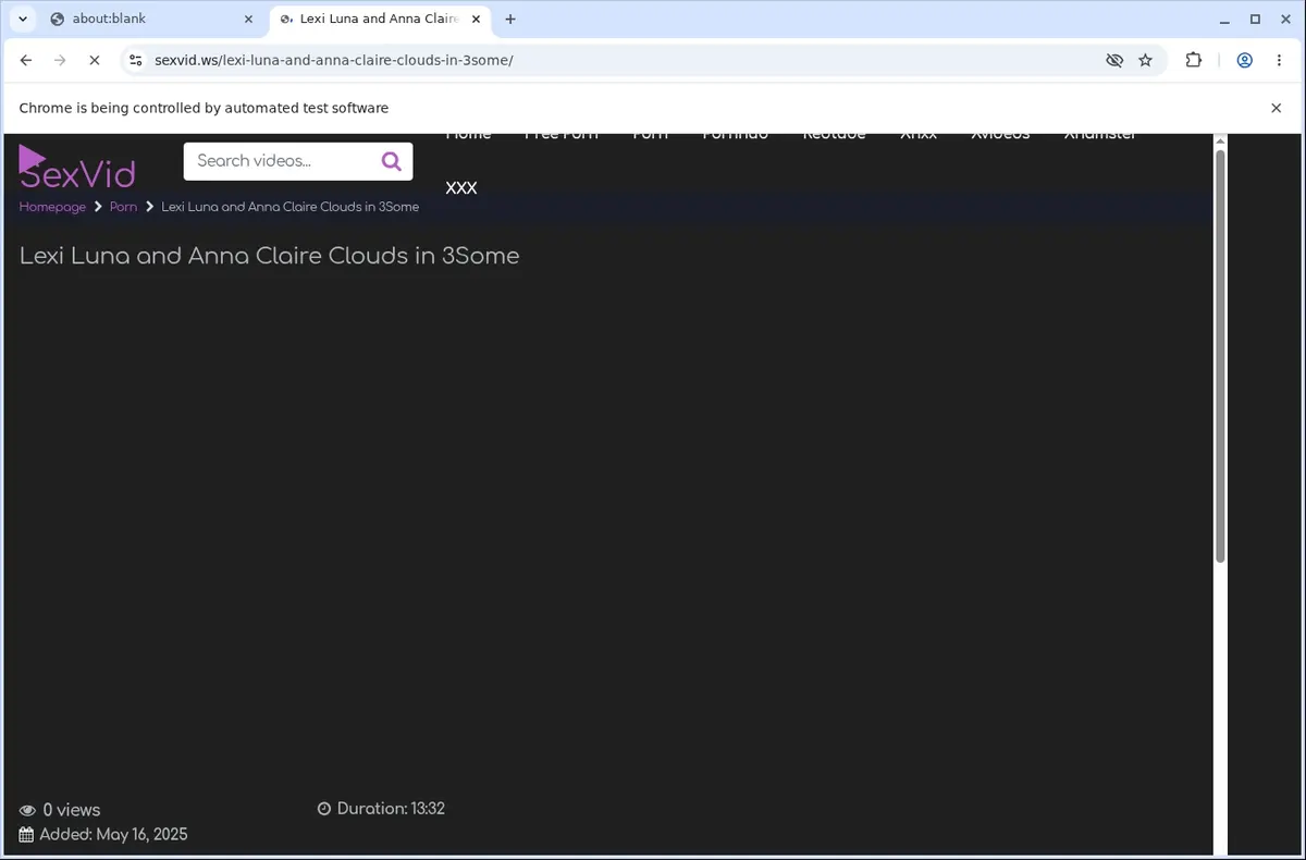 SexVid Downloader page open in the browser