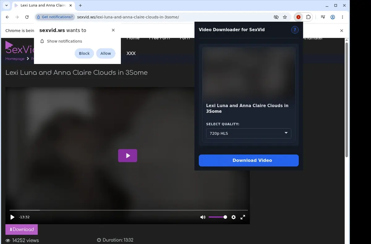 SexVid Downloader showing detected media ready to download