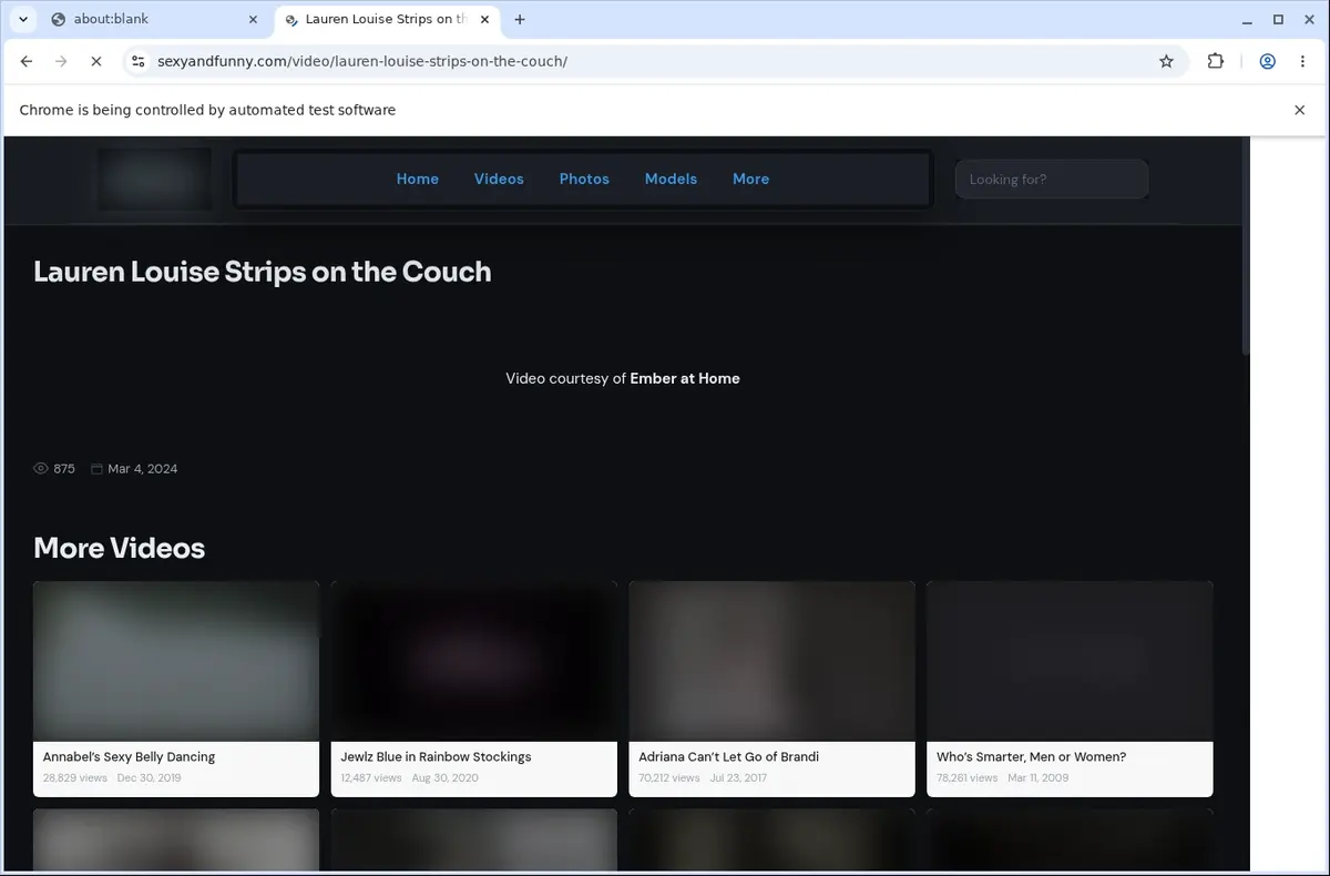SexyAndFunny Video Downloader page open in the browser