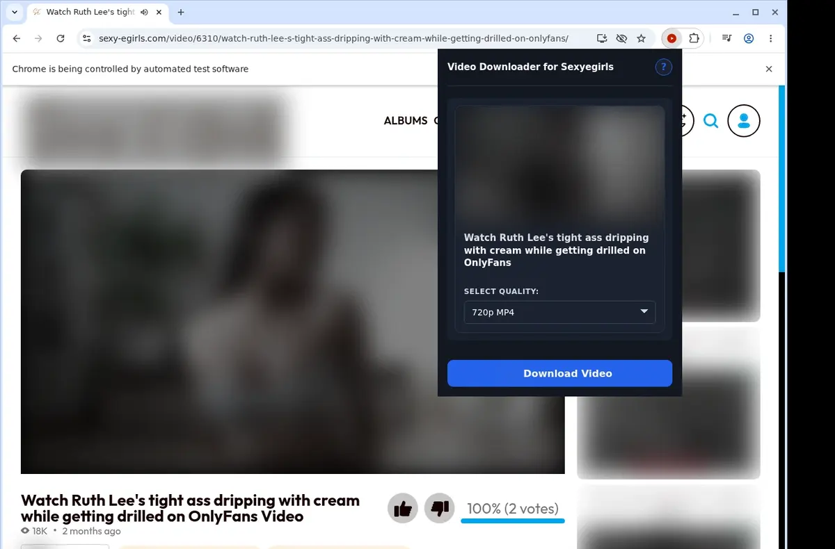 SexyEGirls Video Downloader showing detected media ready to download
