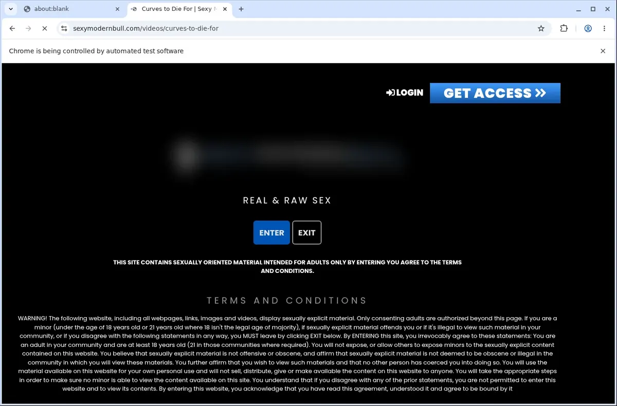 SexyModernBull Video Downloader page open in the browser