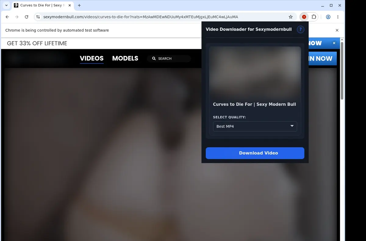 SexyModernBull Video Downloader showing detected media ready to download