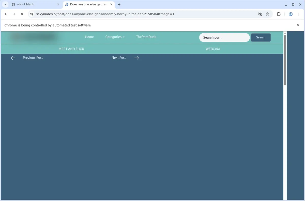 SexyNudes Video Downloader page open in the browser