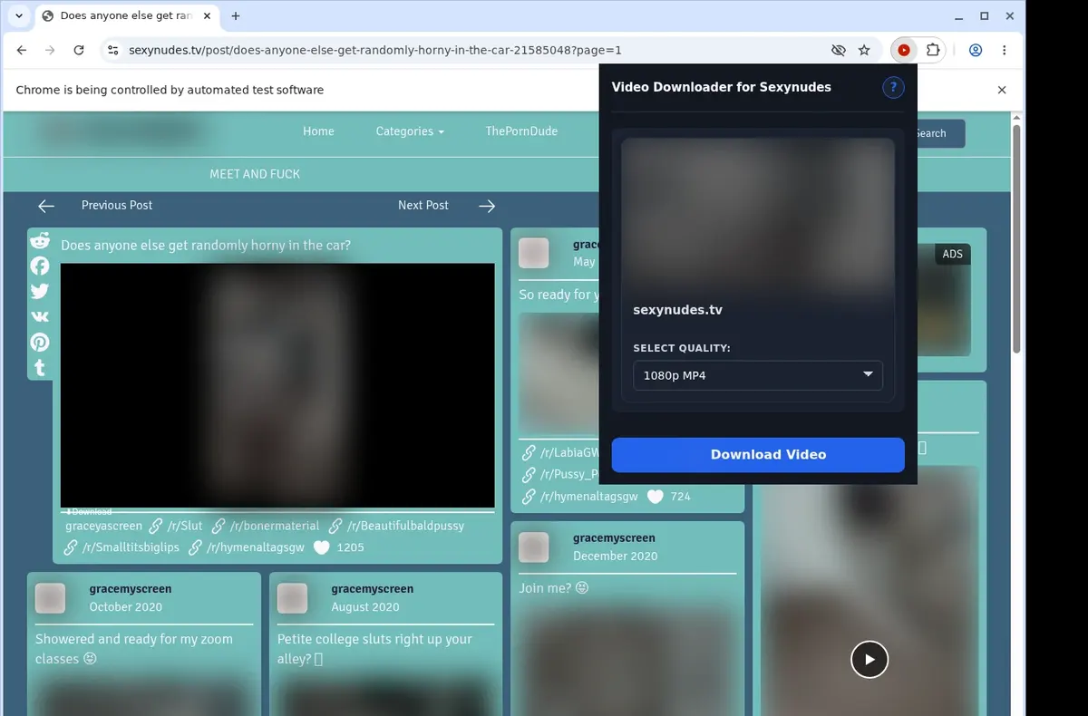 SexyNudes Video Downloader showing detected media ready to download