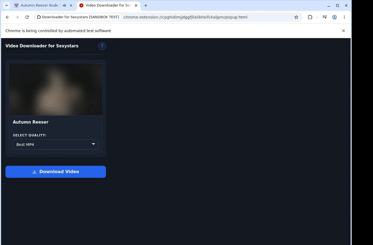 SexyStars Video Downloader showing detected media ready to download