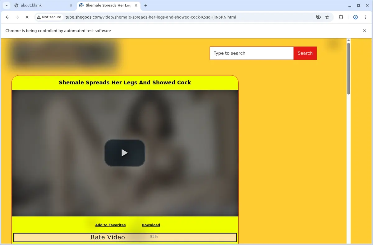 SheGods Video Downloader page open in the browser