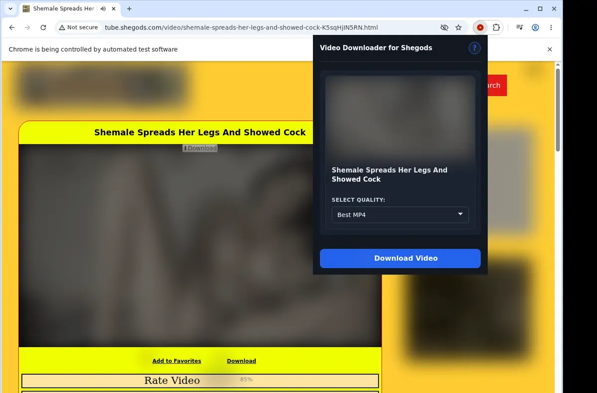 SheGods Video Downloader showing detected media ready to download