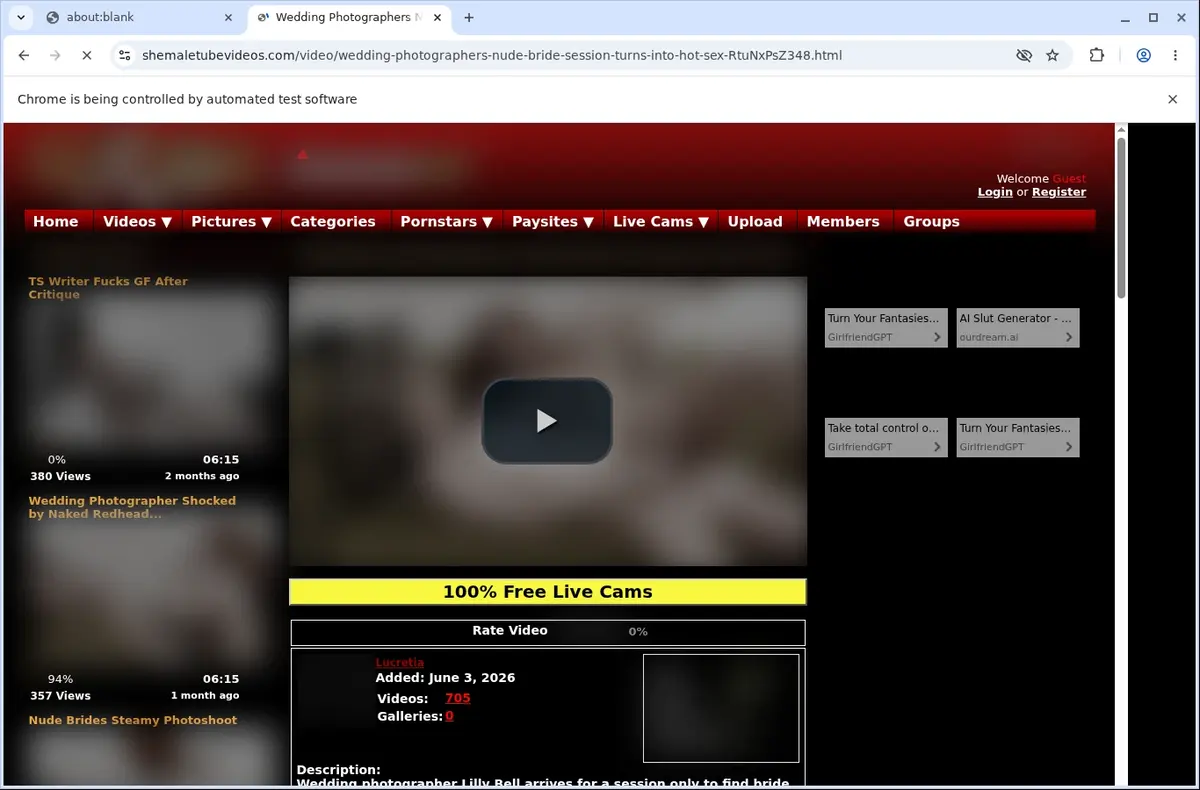 ShemaleTubeVideos Video Downloader page open in the browser