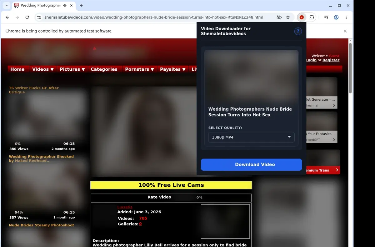 ShemaleTubeVideos Video Downloader showing detected media ready to download