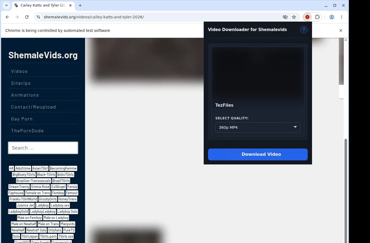 ShemaleVids Video Downloader showing detected media ready to download