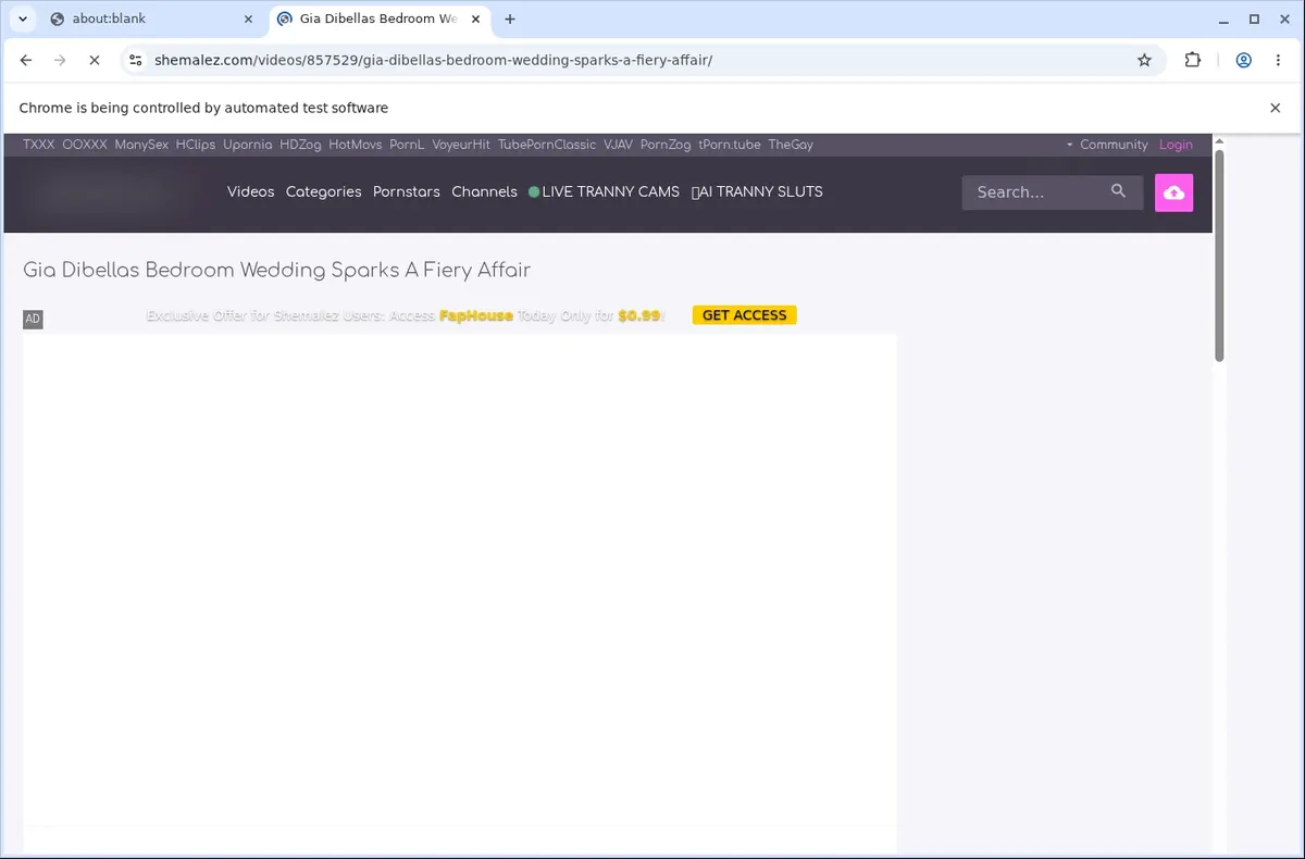 Shemalez Video Downloader page open in the browser