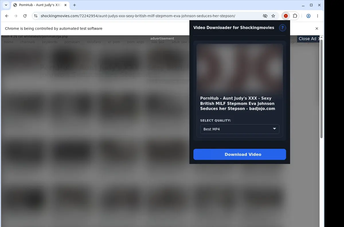 ShockingMovies Video Downloader showing detected media ready to download