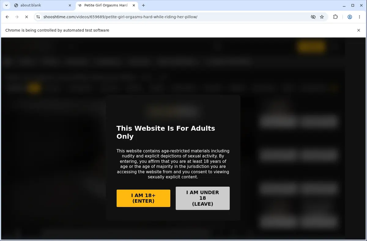 ShooshTime Downloader page open in the browser