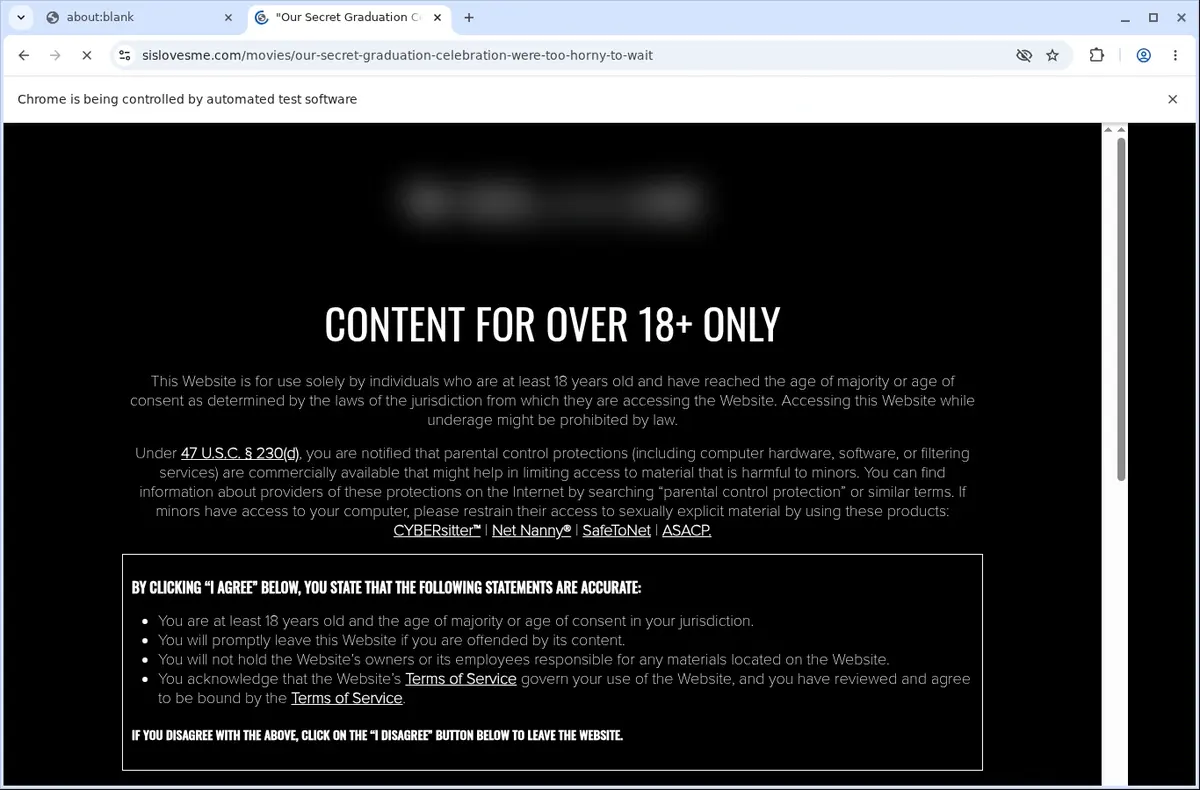 SisLovesMe Video Downloader page open in the browser