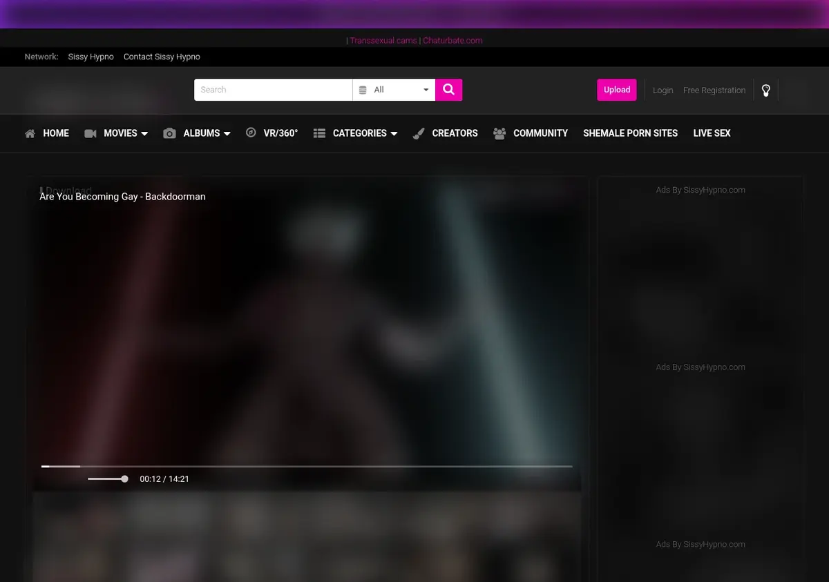 SissyHypno Video Downloader showing detected media ready to download