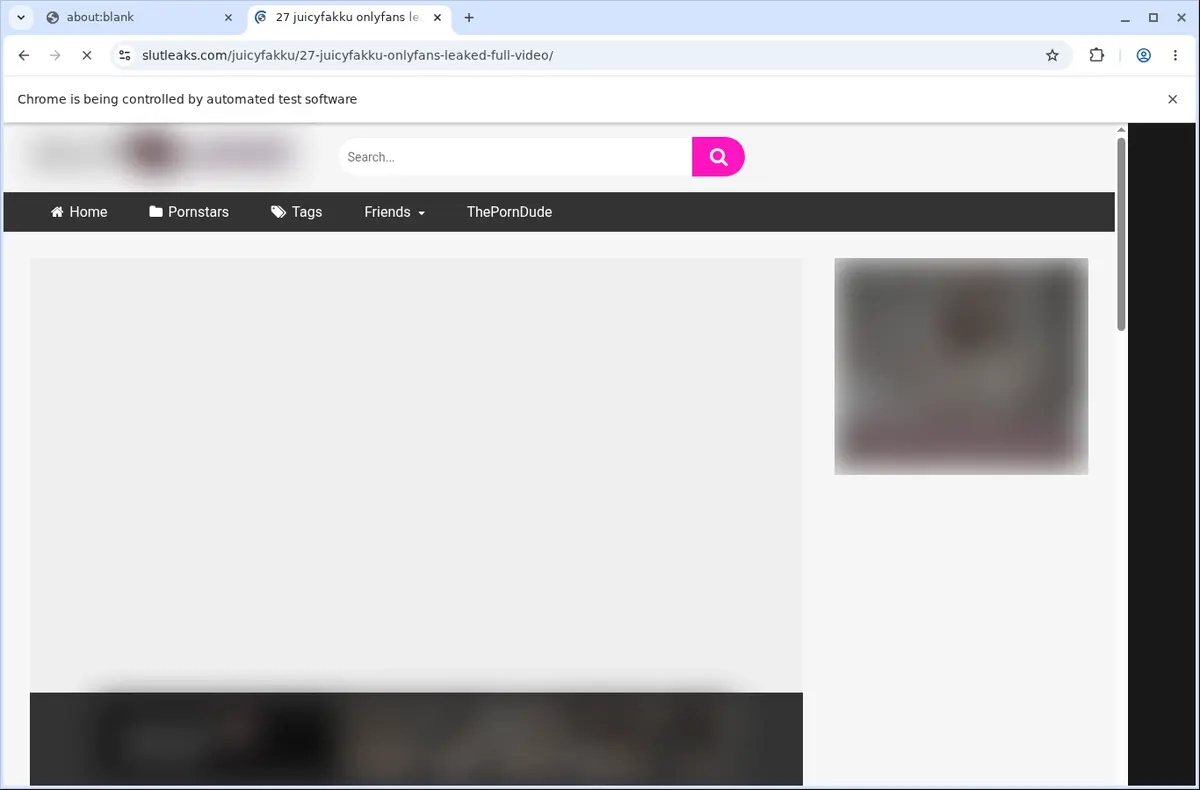 SlutLeaks Video Downloader page open in the browser