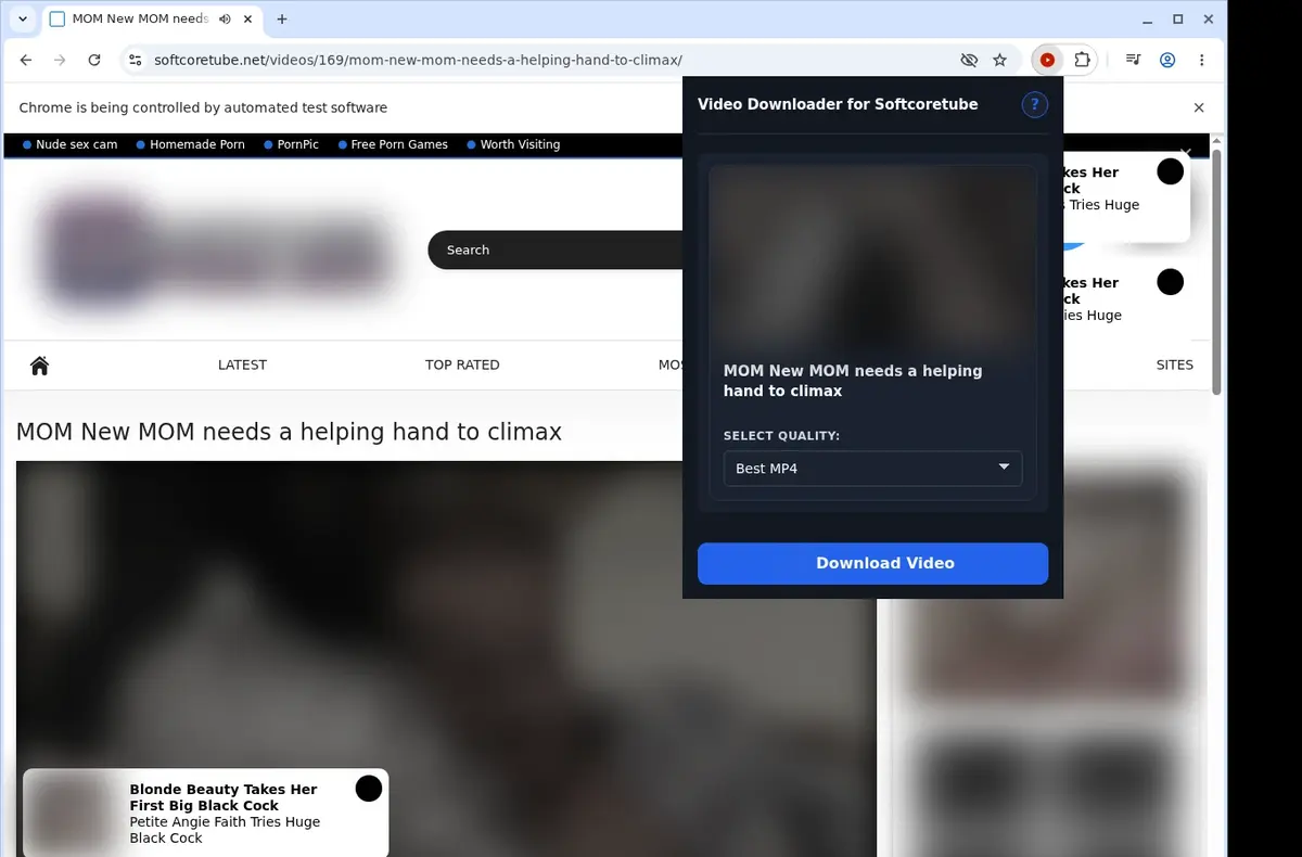SoftcoreTube Video Downloader showing detected media ready to download