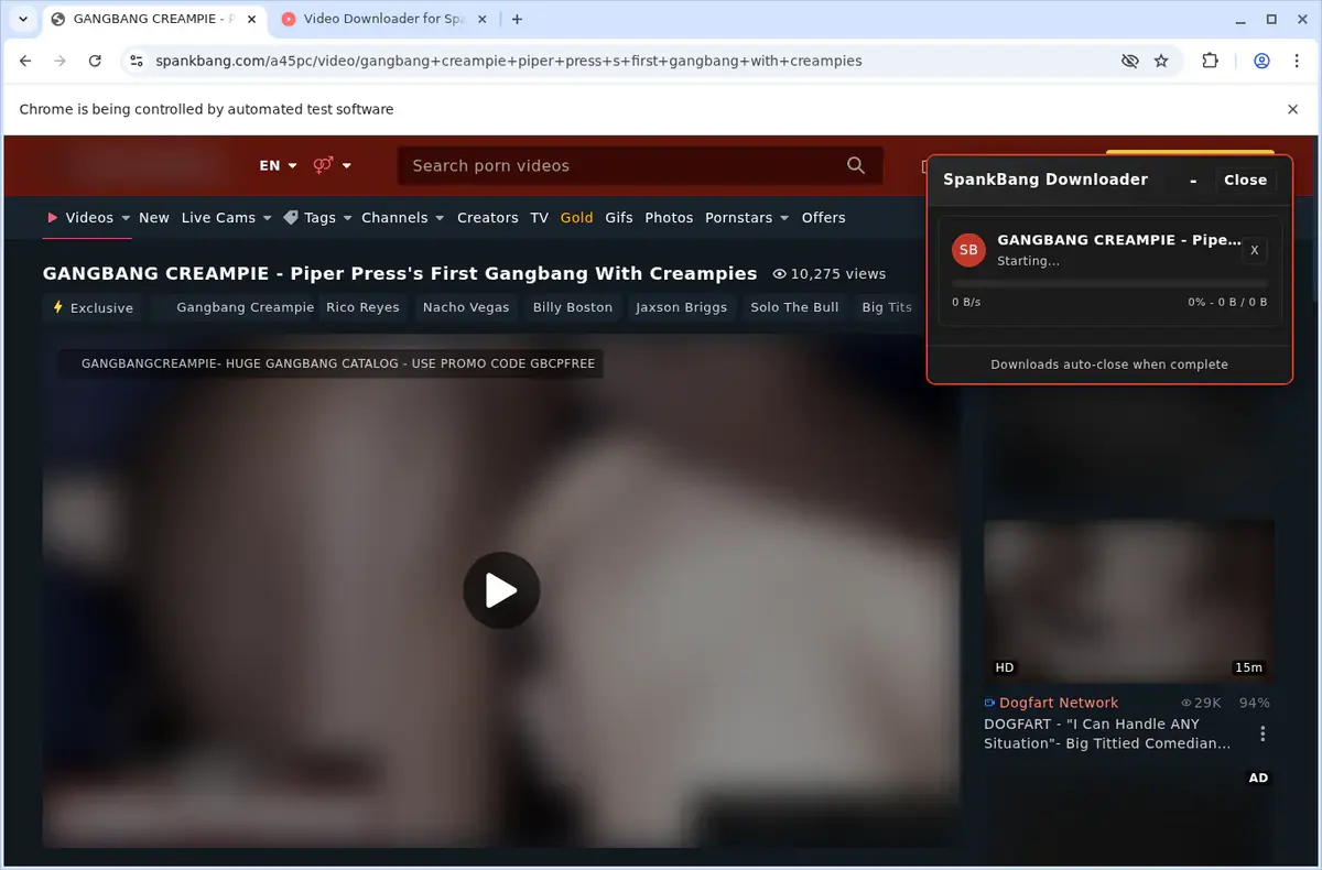 SpankBang Video Downloader page open in the browser
