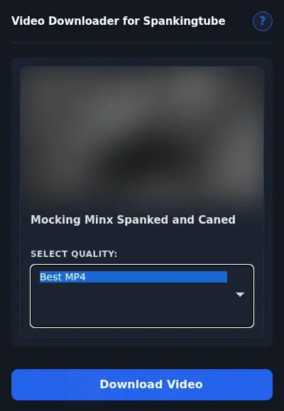 SpankingTube Video Downloader format dropdown options