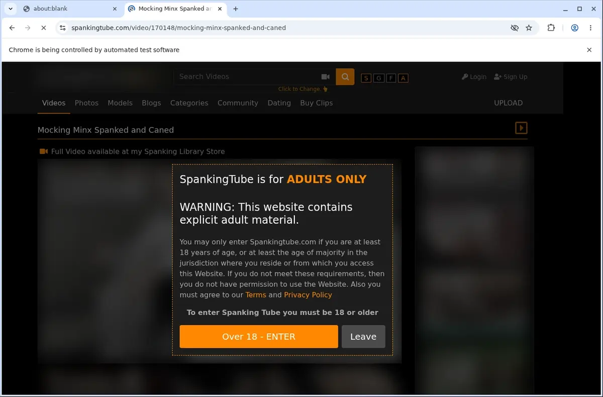 SpankingTube Video Downloader page open in the browser