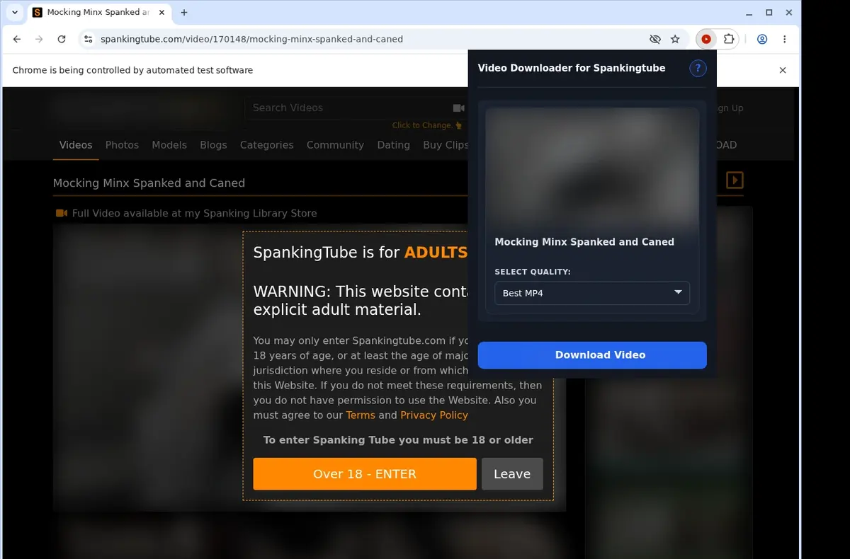 SpankingTube Video Downloader showing detected media ready to download