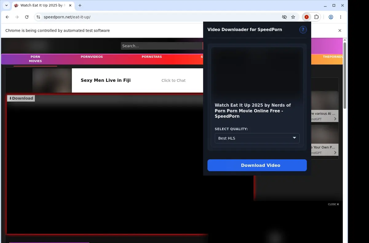 SpeedPorn Downloader showing detected media ready to download