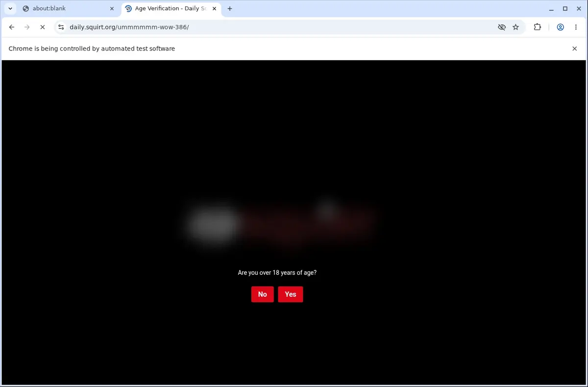 Squirt Downloader page open in the browser