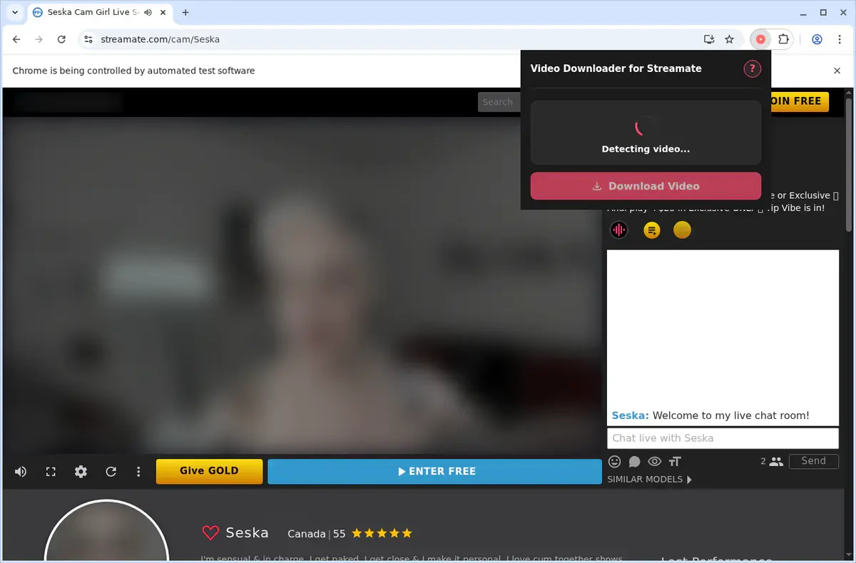 Streamate Video Downloader showing detected media ready to download