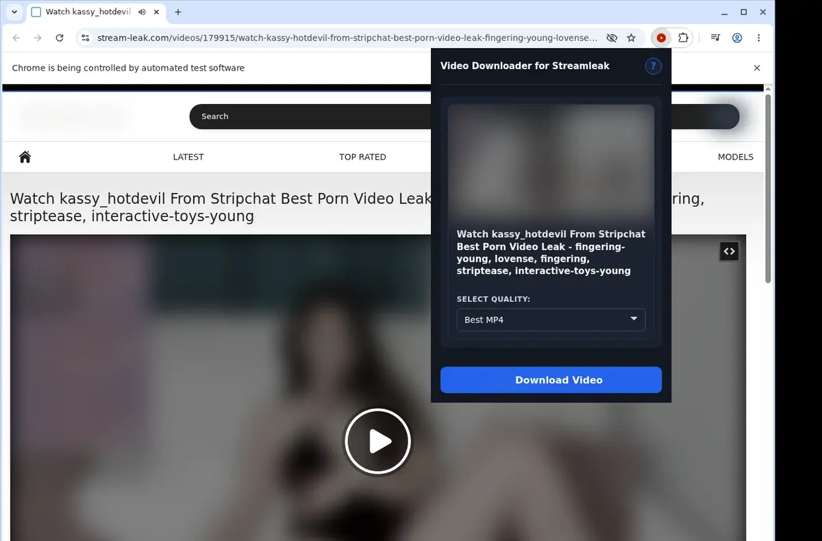 Streamleak Video Downloader showing detected media ready to download