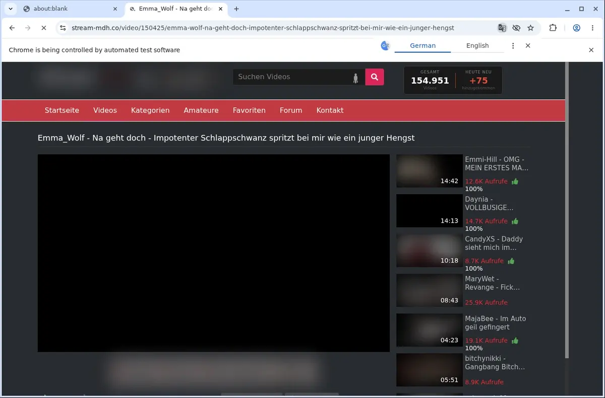 StreamMDH Video Downloader page open in the browser