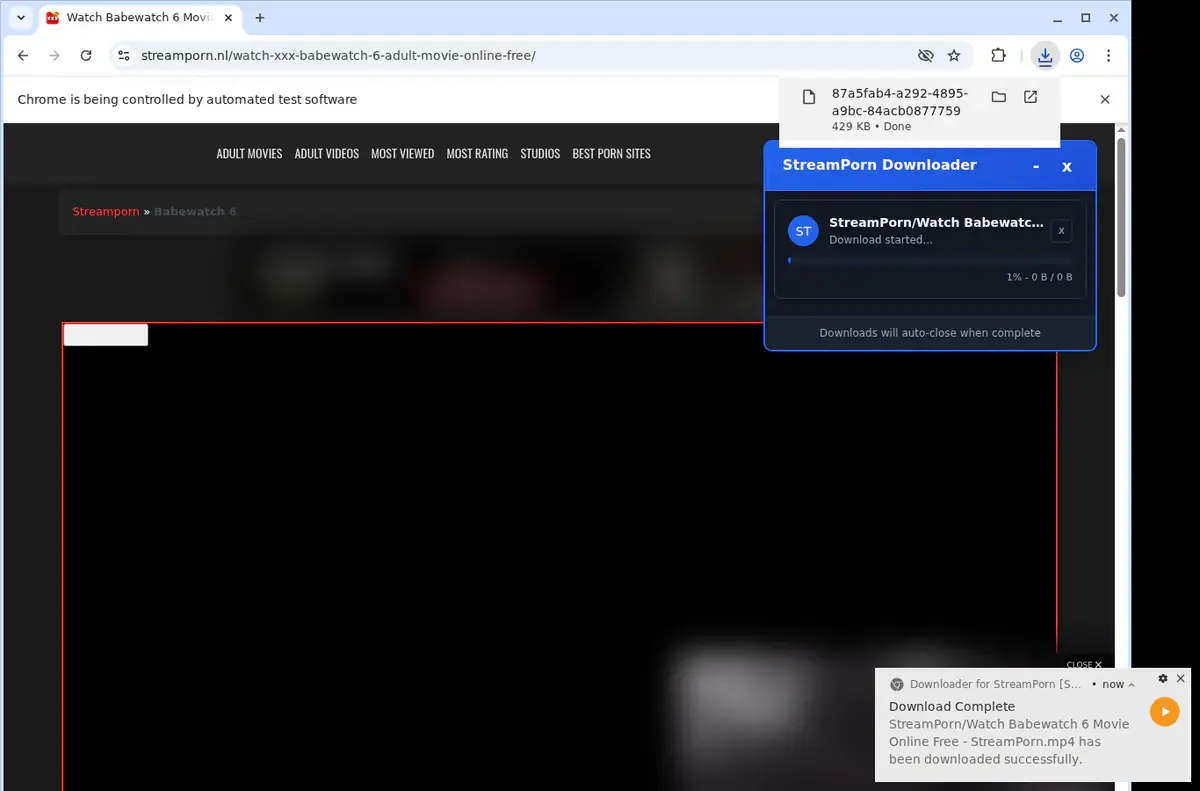 StreamPorn Downloader page open in the browser
