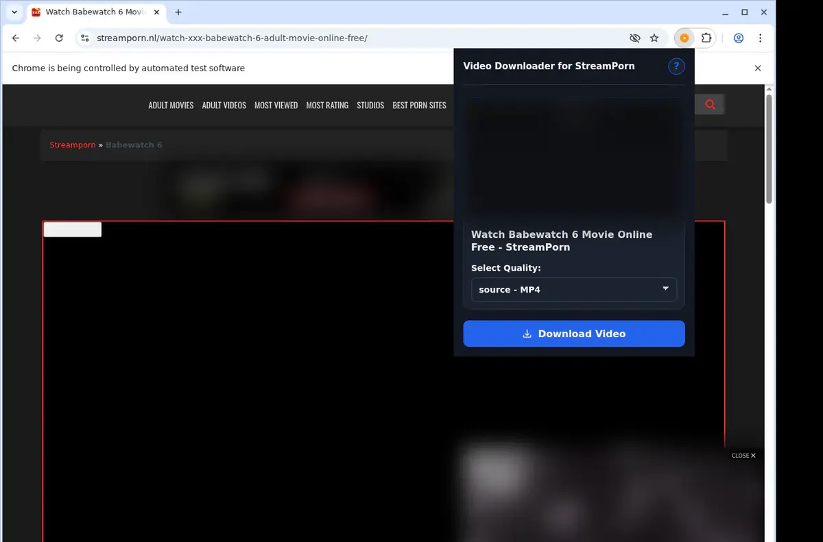 StreamPorn Downloader showing detected media ready to download