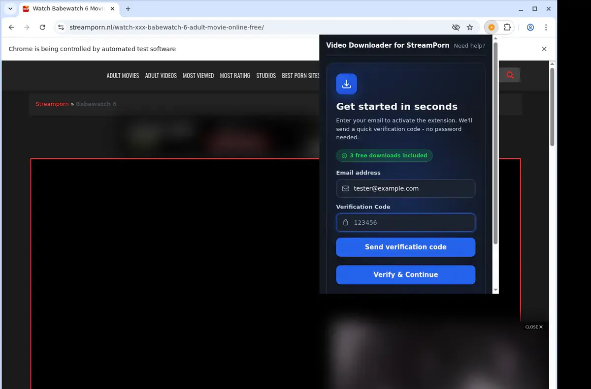 StreamPorn Downloader format selection and save step