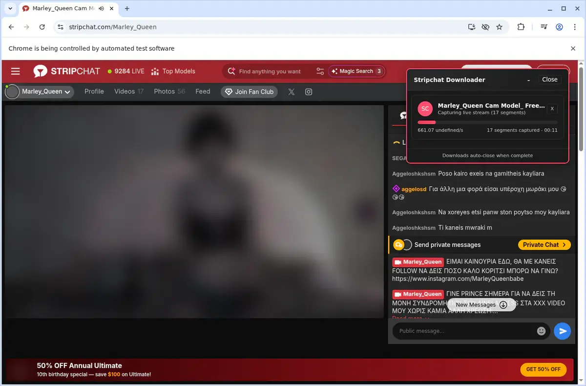 Stripchat Video Downloader page open in the browser