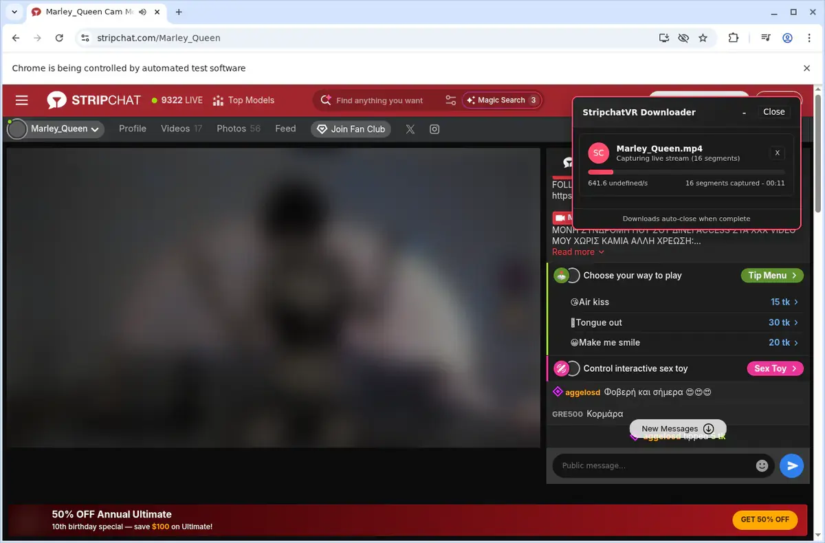 Stripchat VR Video Downloader page open in the browser