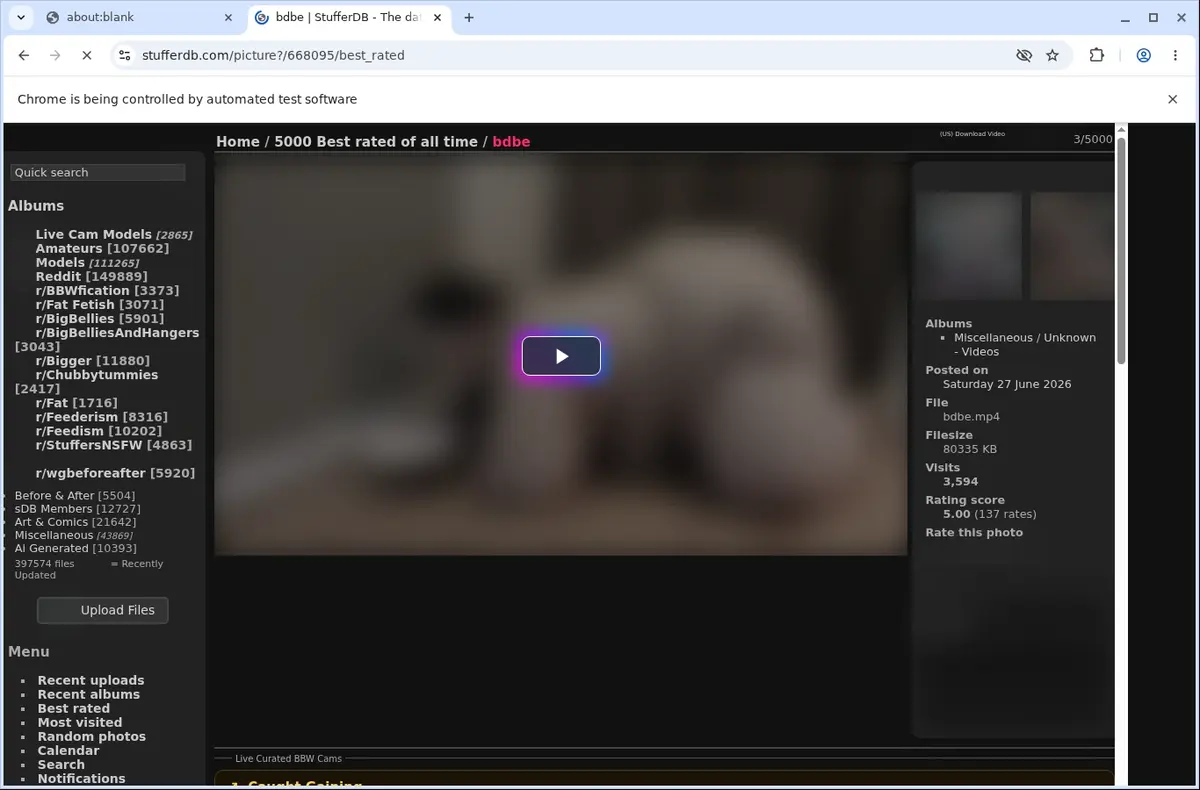 StufferDB Downloader page open in the browser