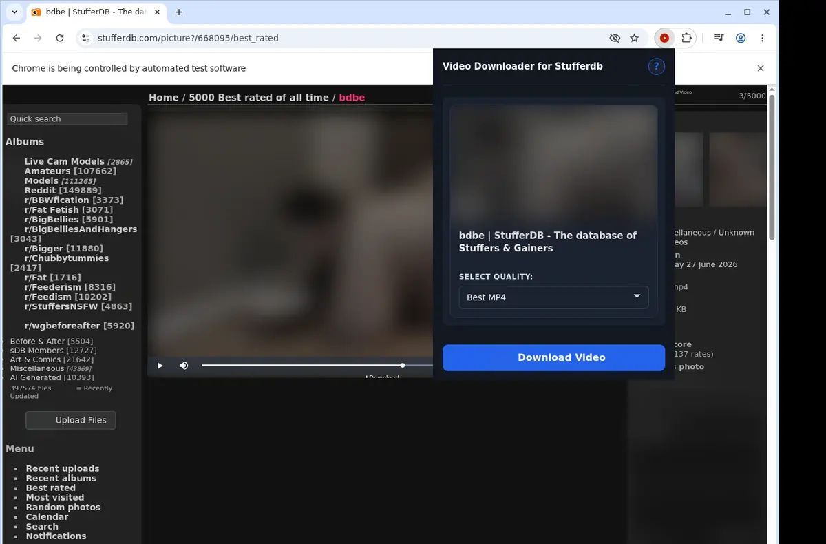 StufferDB Downloader showing detected media ready to download