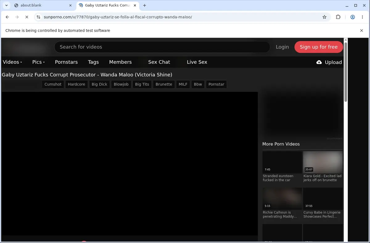 SunPorno Downloader page open in the browser
