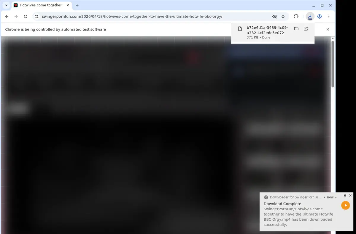 SwingerPornFun Downloader page open in the browser