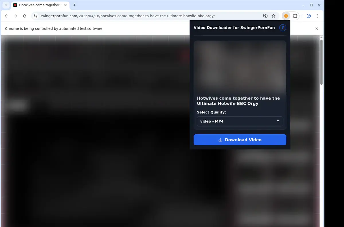 SwingerPornFun Downloader showing detected media ready to download