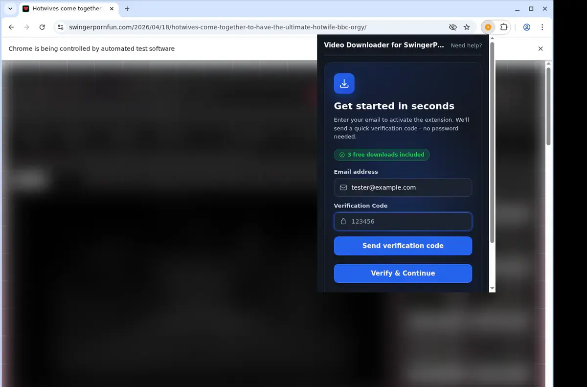 SwingerPornFun Downloader format selection and save step