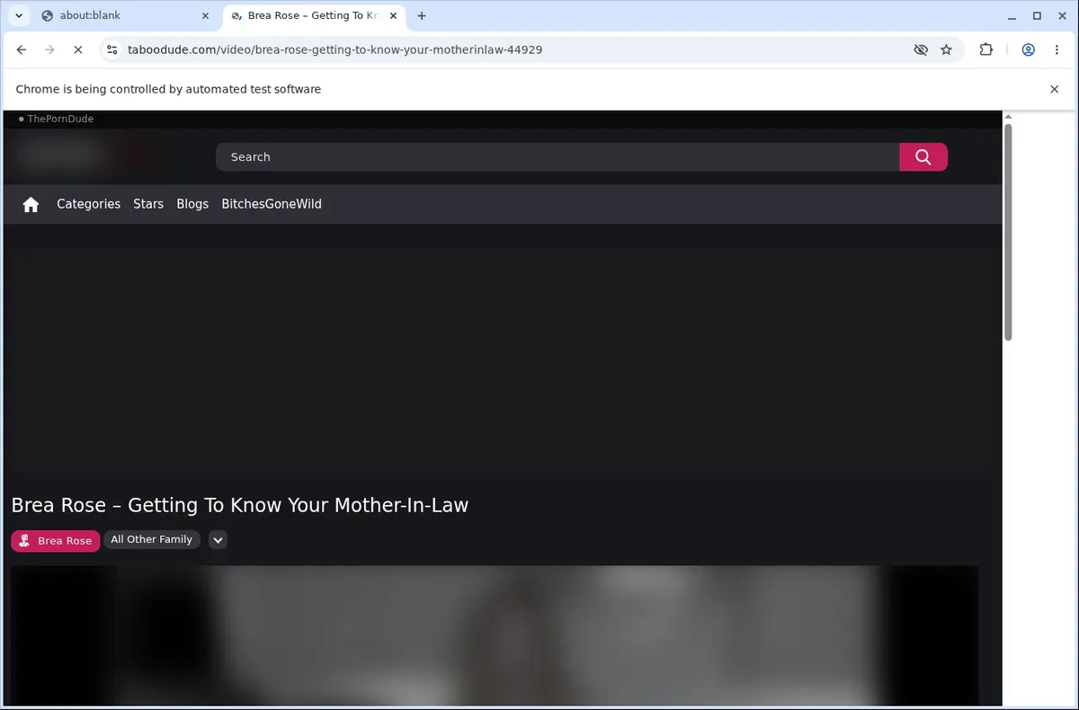 TabooDude Video Downloader page open in the browser