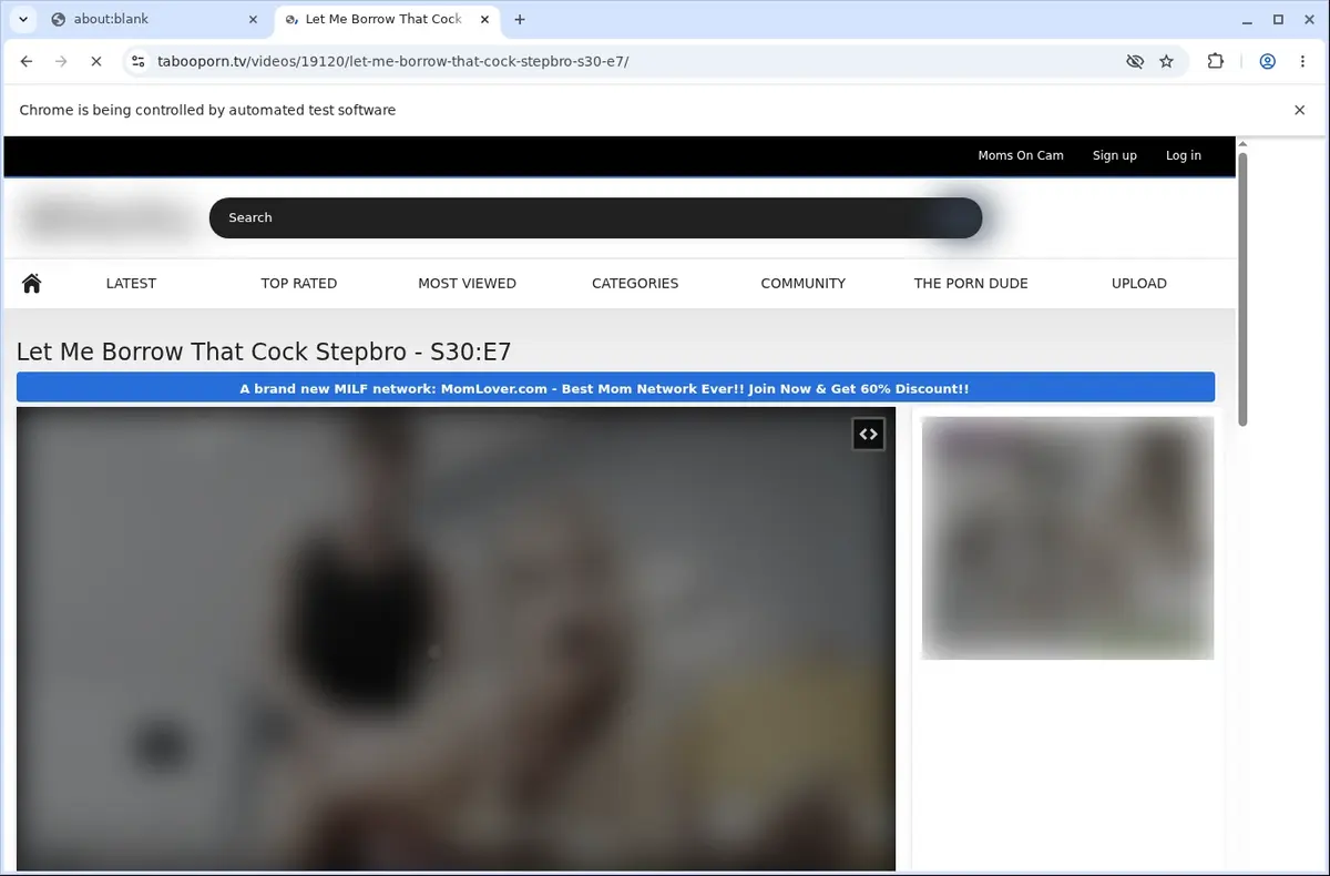 TabooPorn Video Downloader page open in the browser