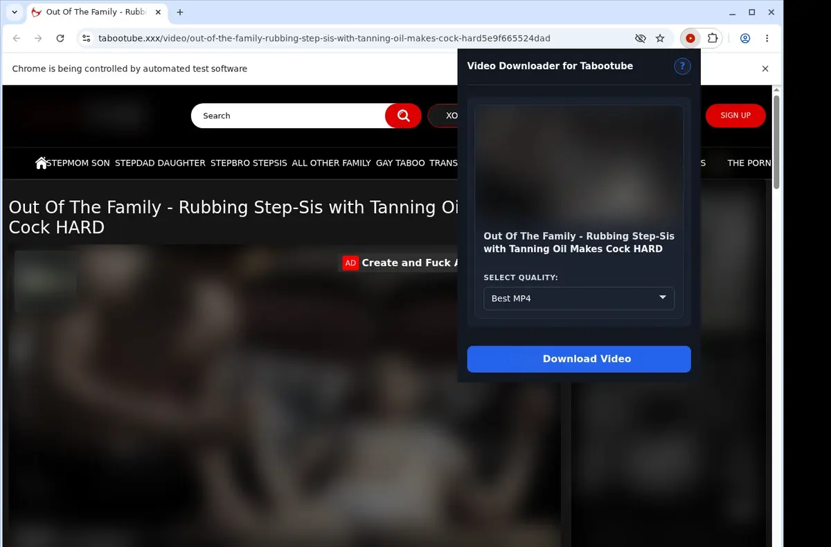 TabooTube Video Downloader showing detected media ready to download