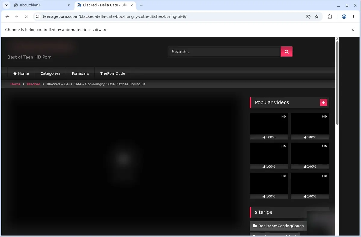TeenagePornX Video Downloader page open in the browser