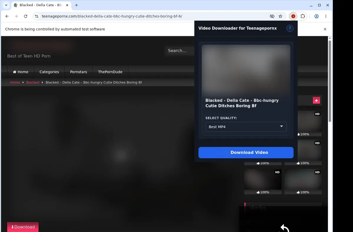 TeenagePornX Video Downloader showing detected media ready to download