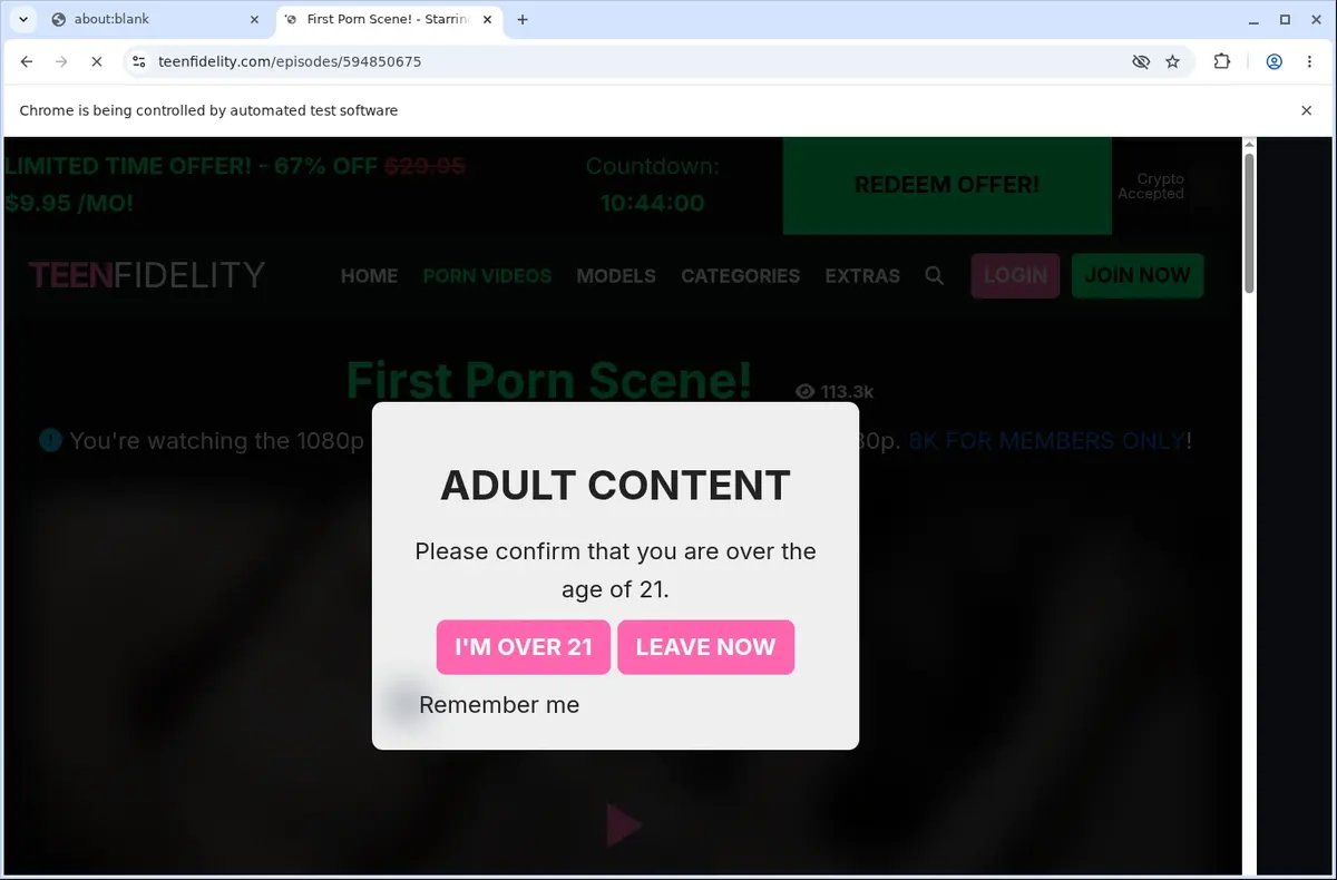 TeenFidelity Video Downloader page open in the browser
