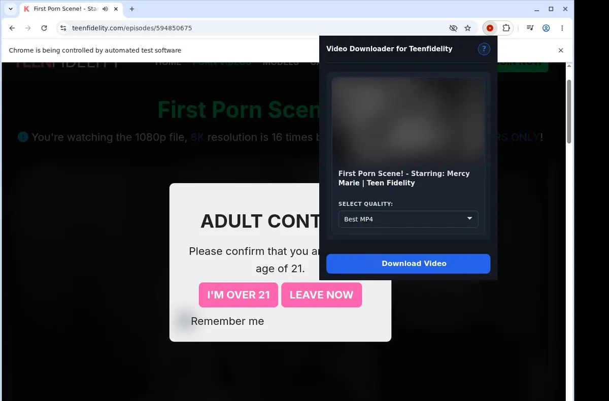 TeenFidelity Video Downloader showing detected media ready to download