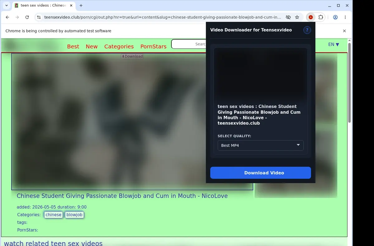 Teensexvideo Video Downloader showing detected media ready to download