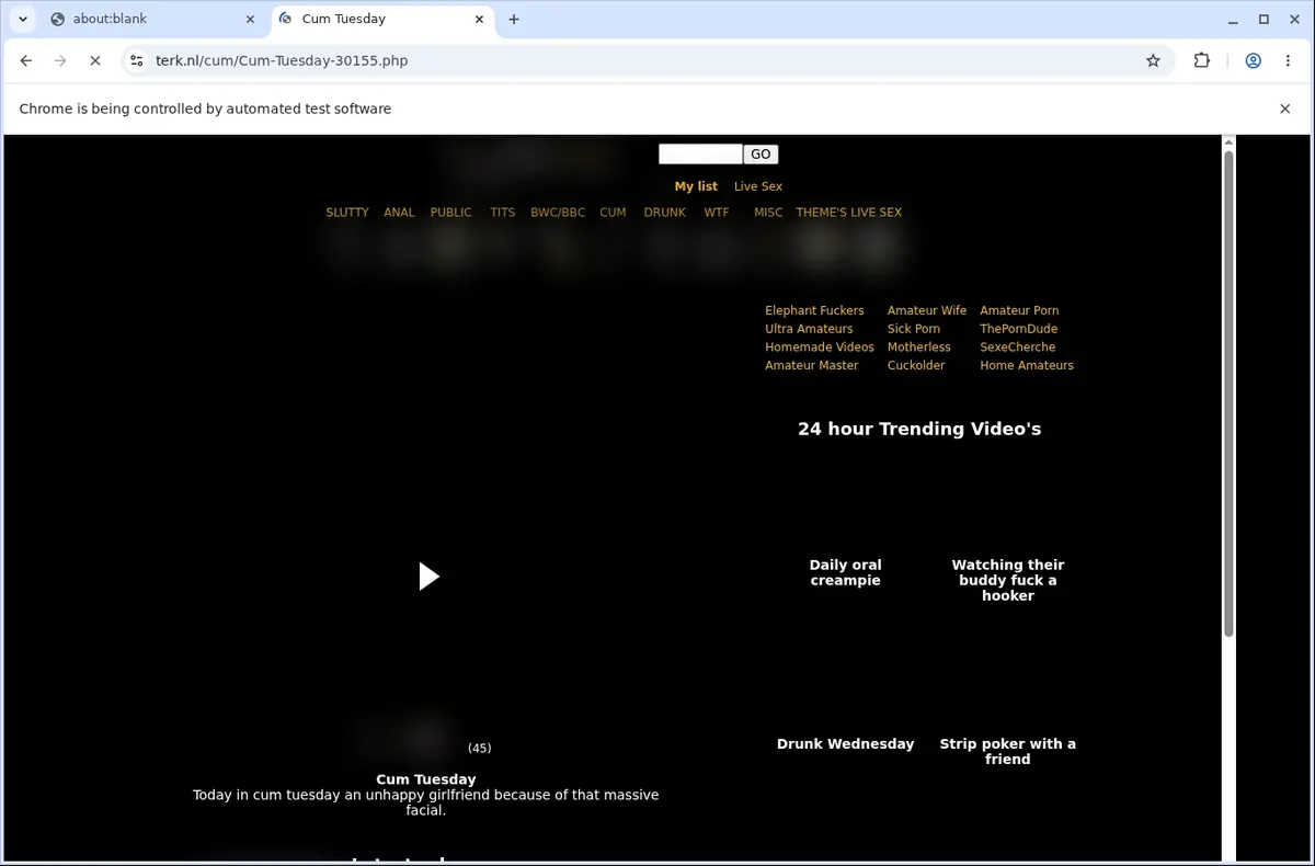 Terk Video Downloader page open in the browser